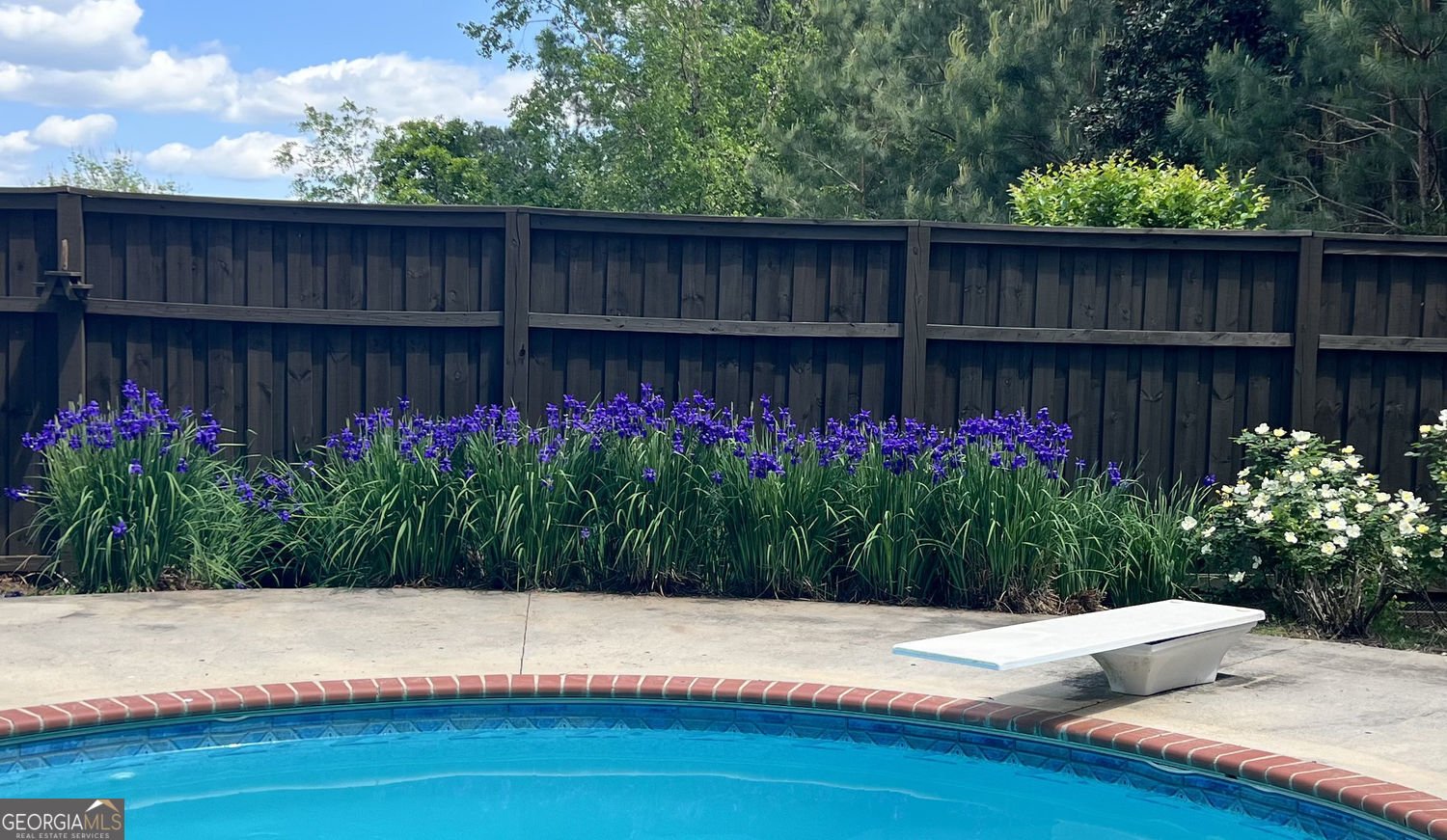 4475 Caney Fork Circle Braselton - 9