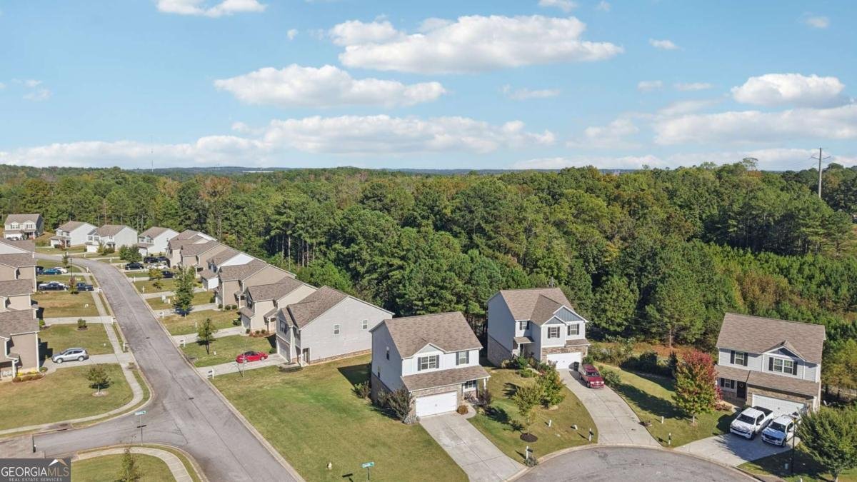 900 Camilla Court Villa Rica - 54