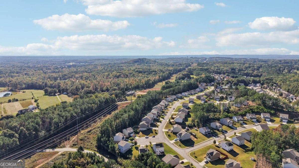 900 Camilla Court Villa Rica - 63