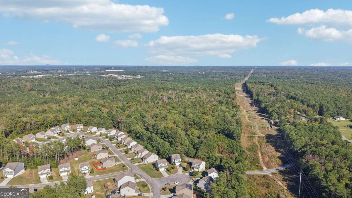 900 Camilla Court Villa Rica - 68