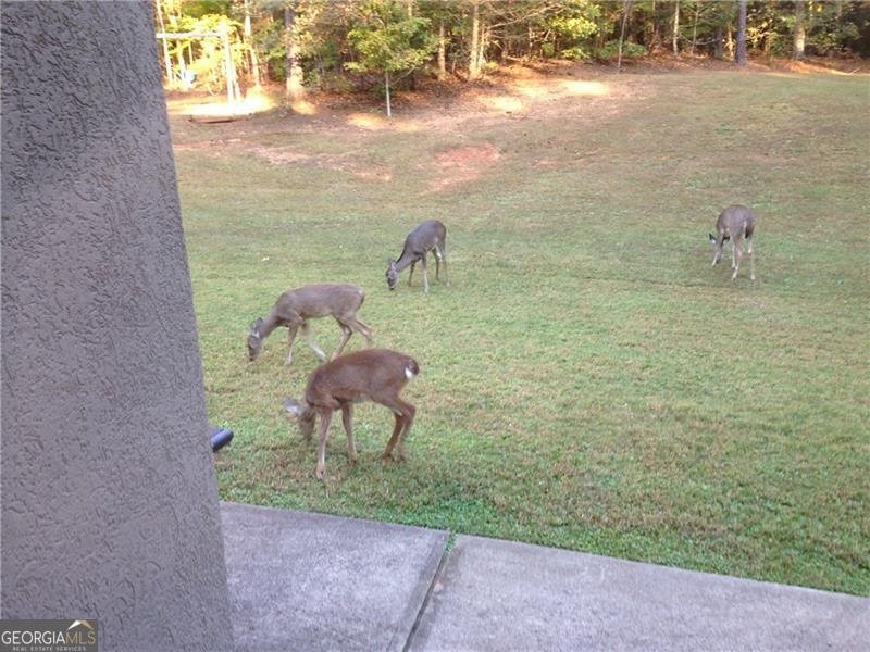 3357 Rising Fawn Trail Suwanee - 61