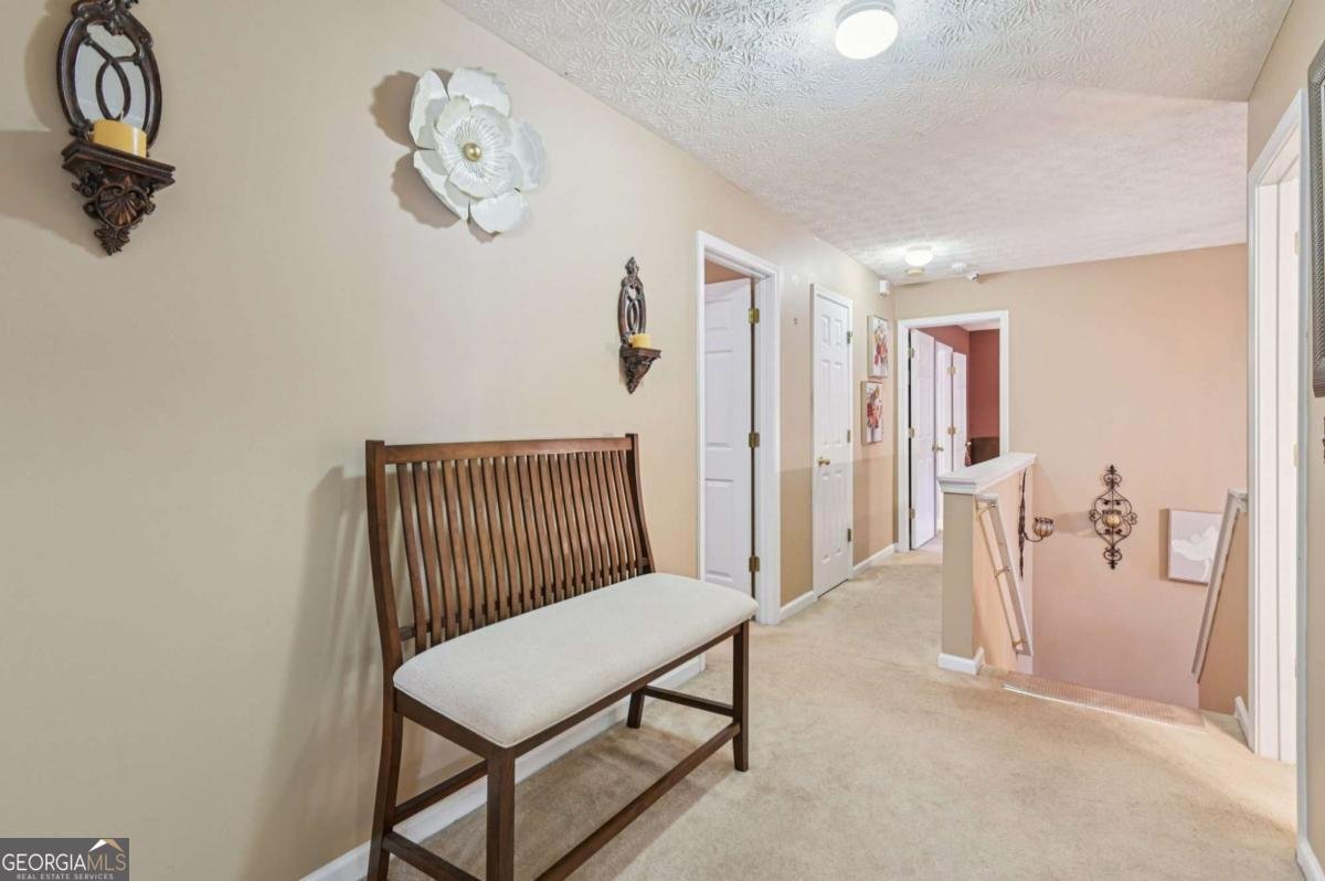 238 Diamond Valley Pass Canton - 10