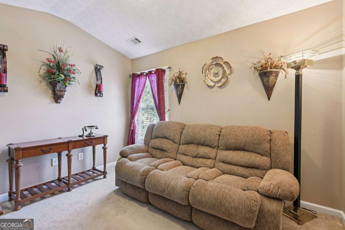 238 Diamond Valley Pass Canton - 11