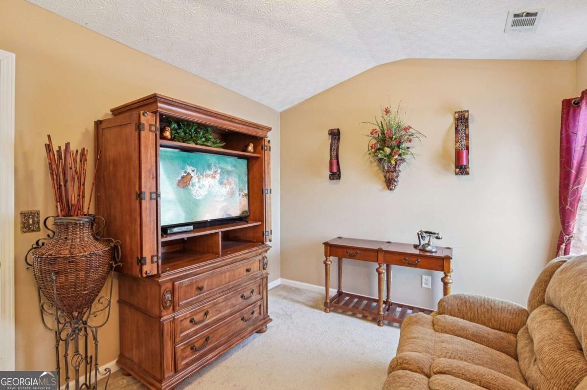 238 Diamond Valley Pass Canton - 12