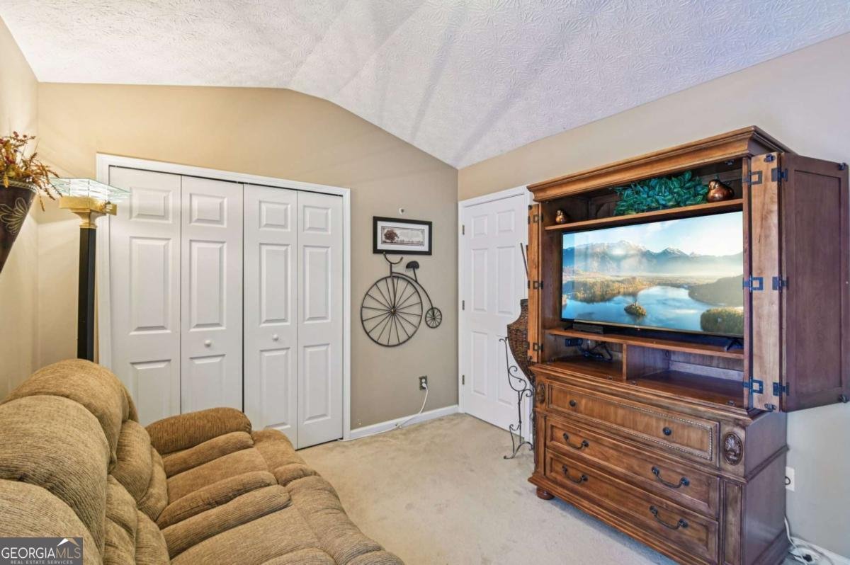 238 Diamond Valley Pass Canton - 13