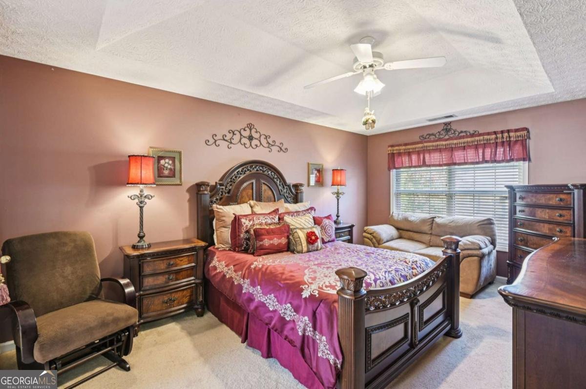 238 Diamond Valley Pass Canton - 14