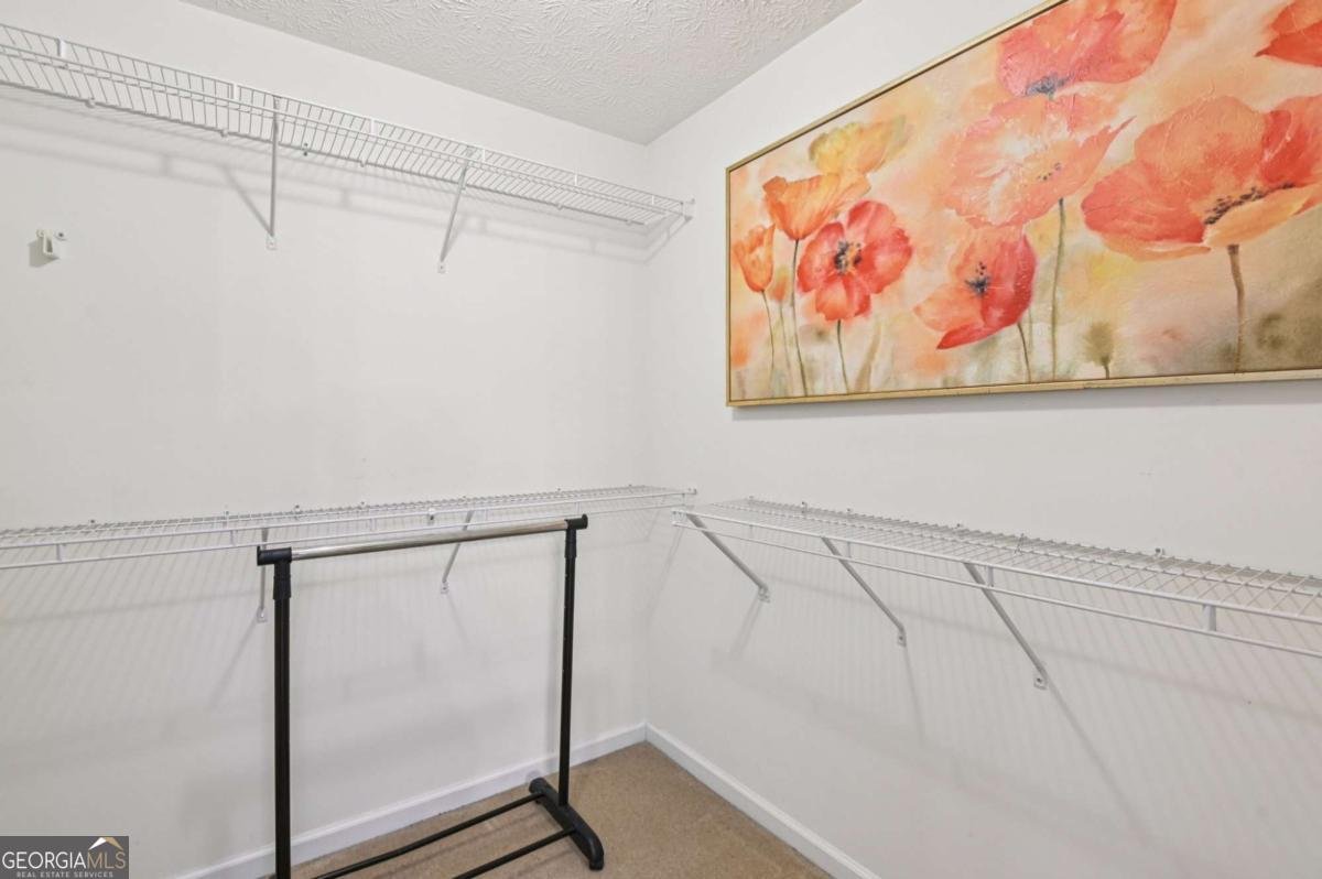 238 Diamond Valley Pass Canton - 18