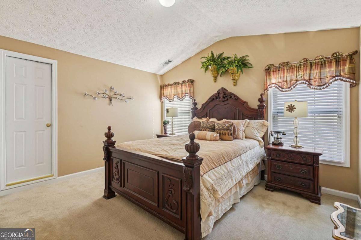 238 Diamond Valley Pass Canton - 2