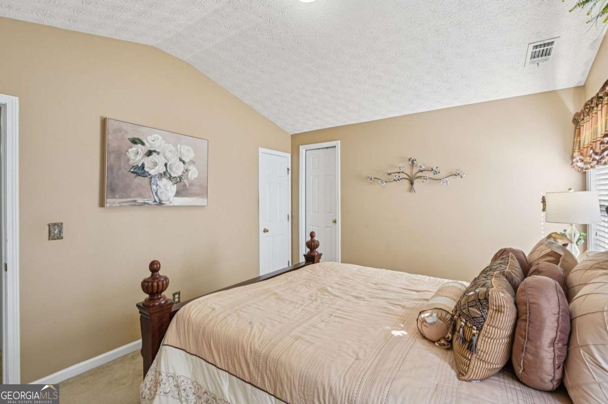 238 Diamond Valley Pass Canton - 3