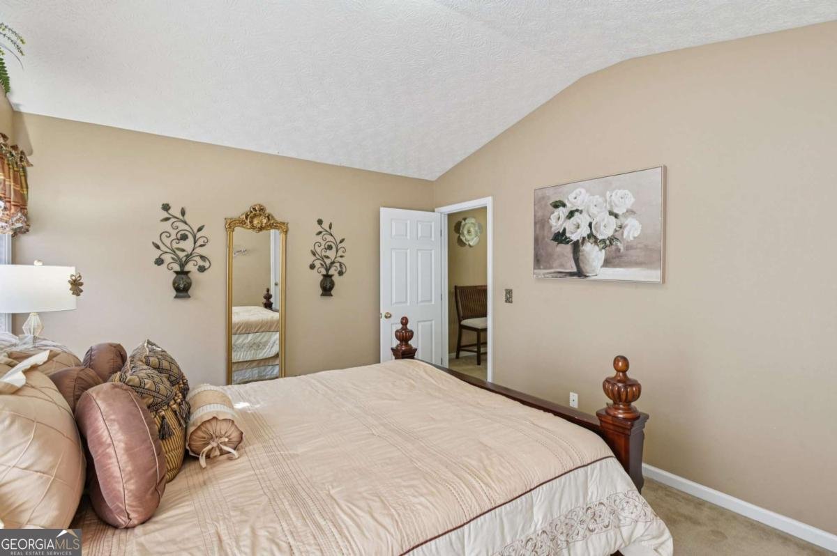 238 Diamond Valley Pass Canton - 4