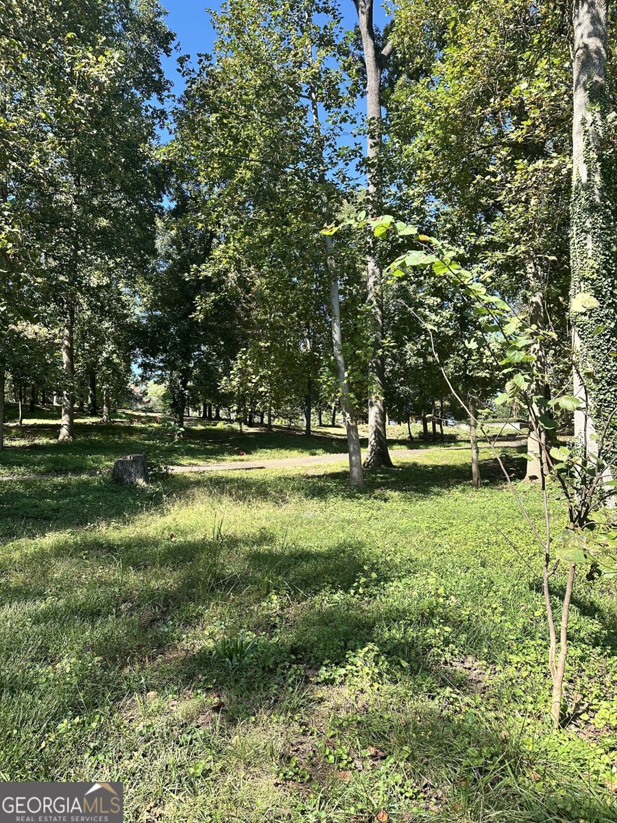 146 LANCELOT Way Lawrenceville - 51