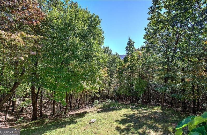 272 Bee Tree Ridge Court Jasper - 21