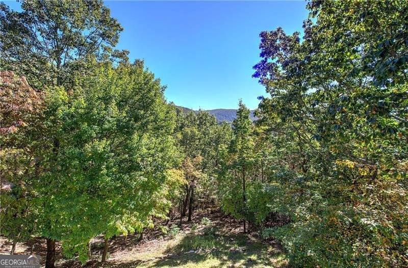 272 Bee Tree Ridge Court Jasper - 32