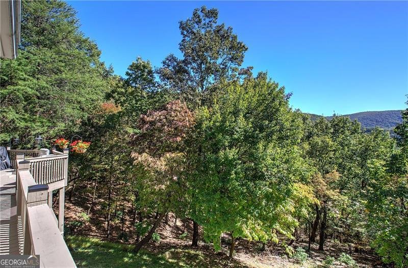 272 Bee Tree Ridge Court Jasper - 33