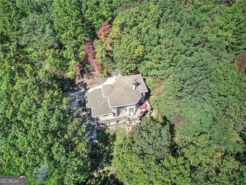 272 Bee Tree Ridge Court Jasper - 54