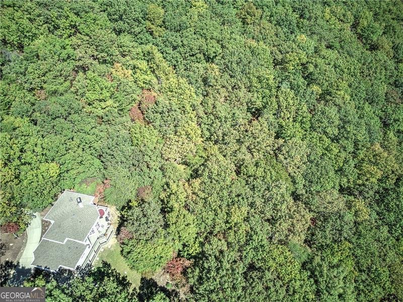 272 Bee Tree Ridge Court Jasper - 55