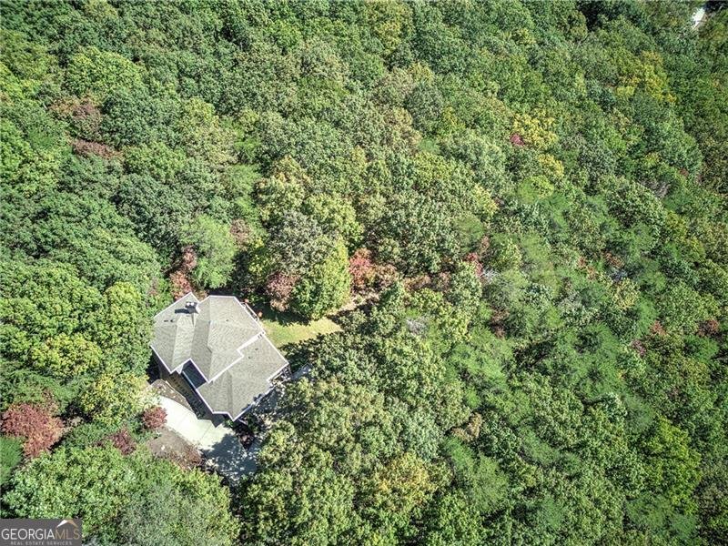 272 Bee Tree Ridge Court Jasper - 56