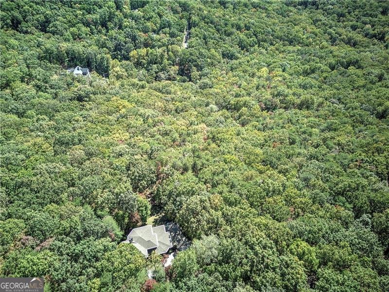 272 Bee Tree Ridge Court Jasper - 57