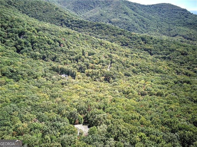 272 Bee Tree Ridge Court Jasper - 58