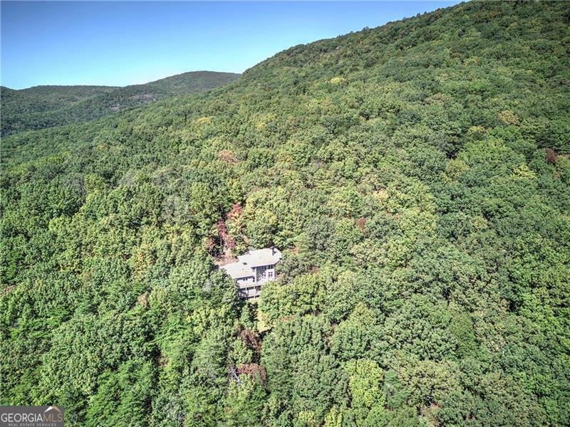 272 Bee Tree Ridge Court Jasper - 59