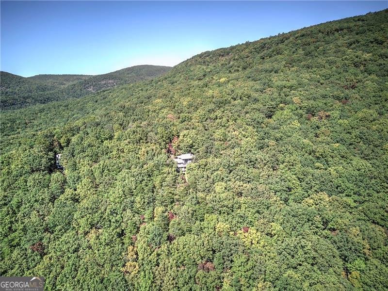 272 Bee Tree Ridge Court Jasper - 60