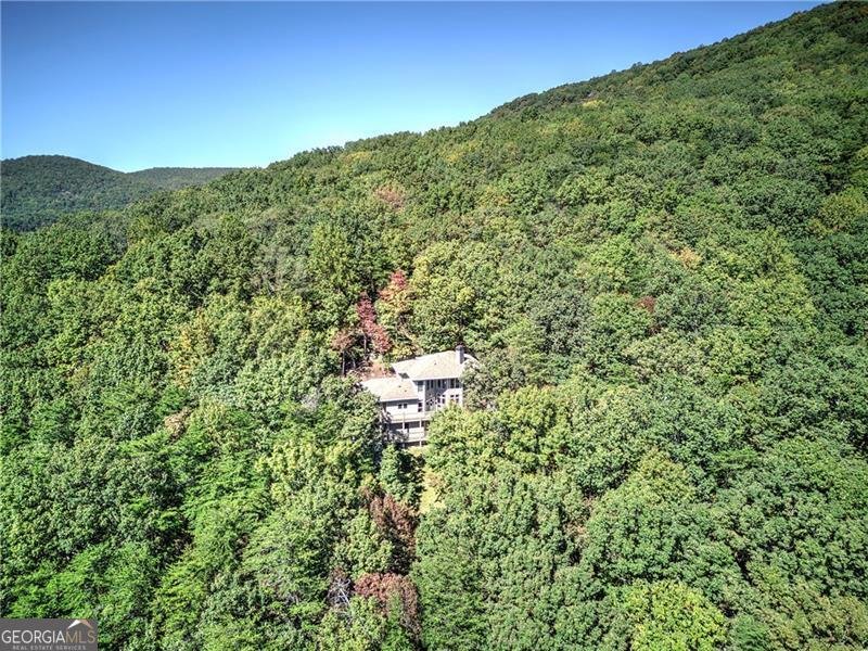 272 Bee Tree Ridge Court Jasper - 61