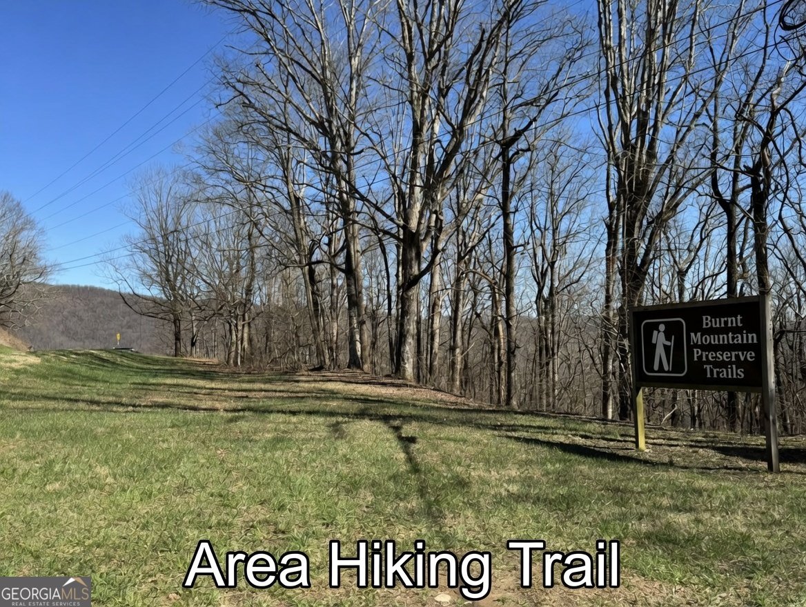 1512 Upper Sassafras Parkway Jasper - Photo 40