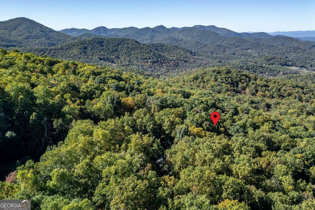 7 Spring Road Blairsville - 5