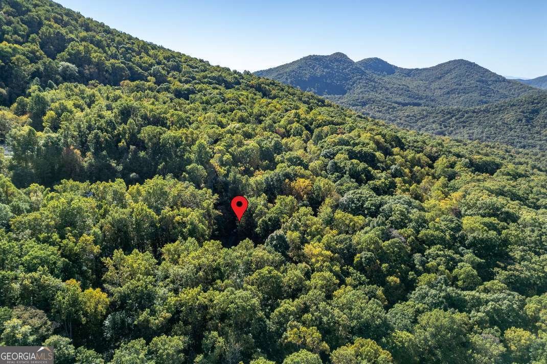 7 Spring Road Blairsville - Photo 61