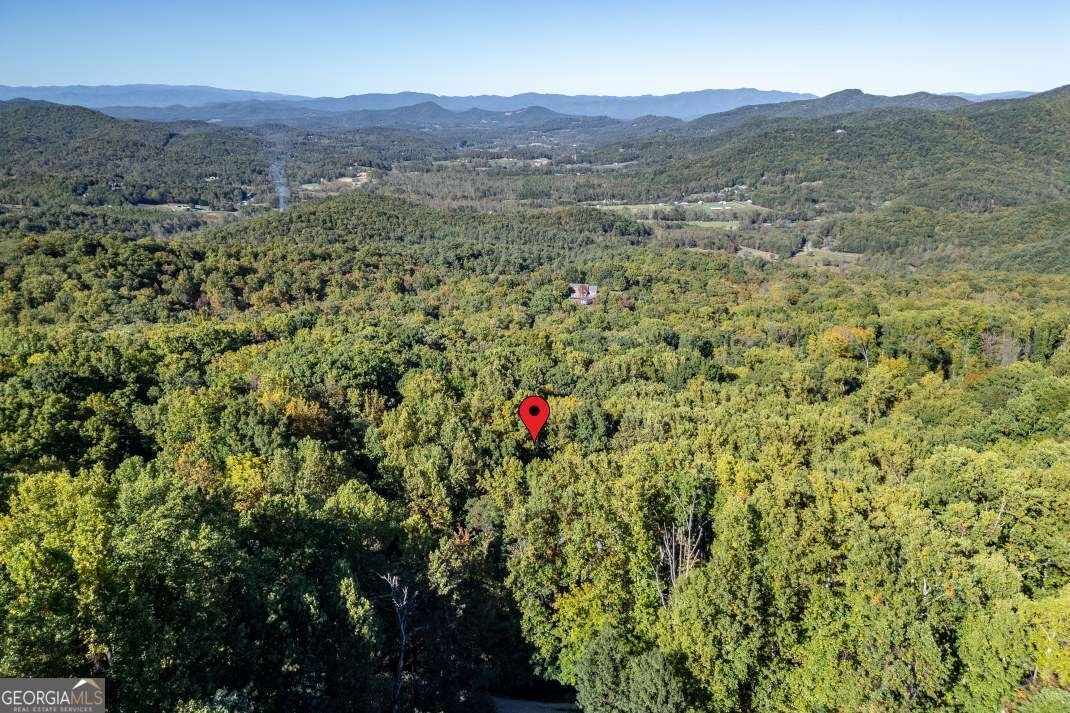 7 Spring Road Blairsville - Photo 62