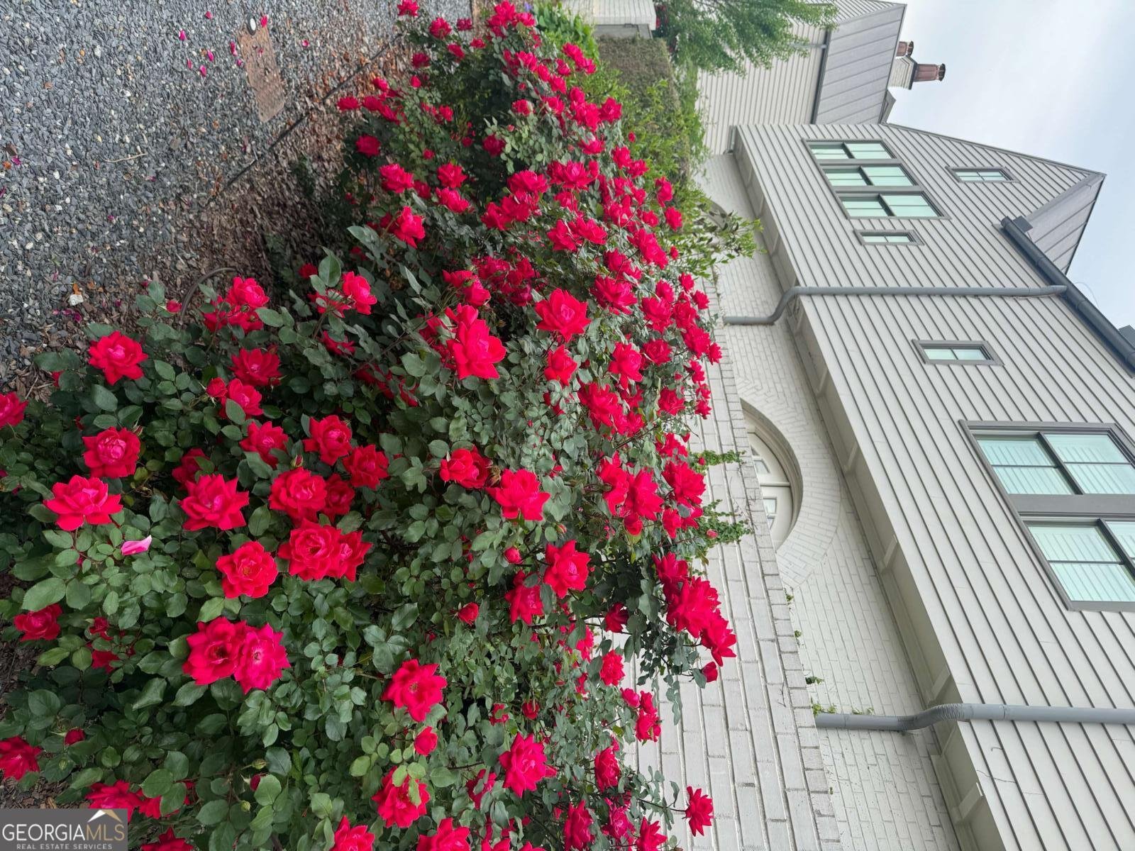 505 Juniper Lane Fayetteville - 40