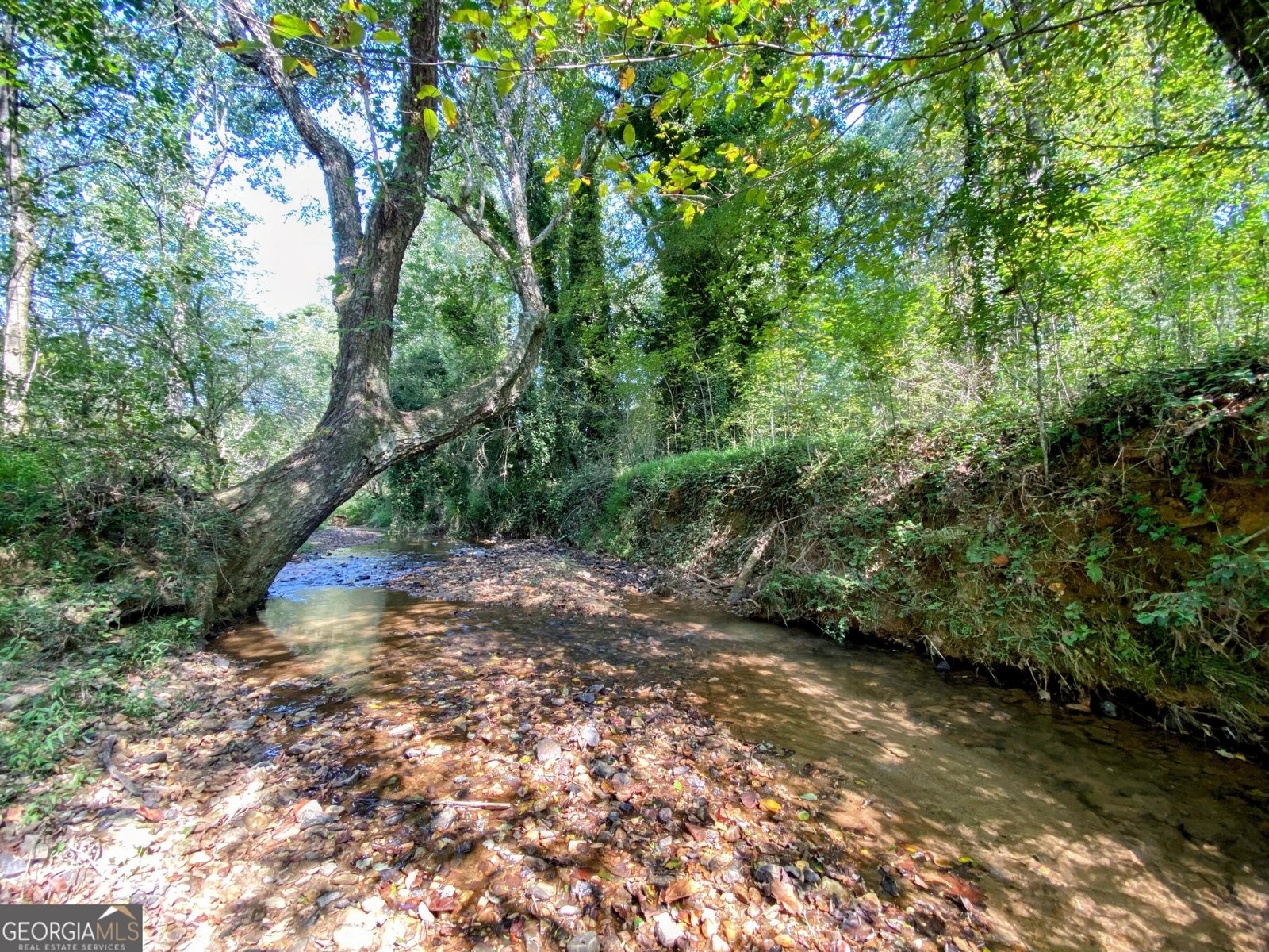 3746 Ledan Road Gainesville - 2