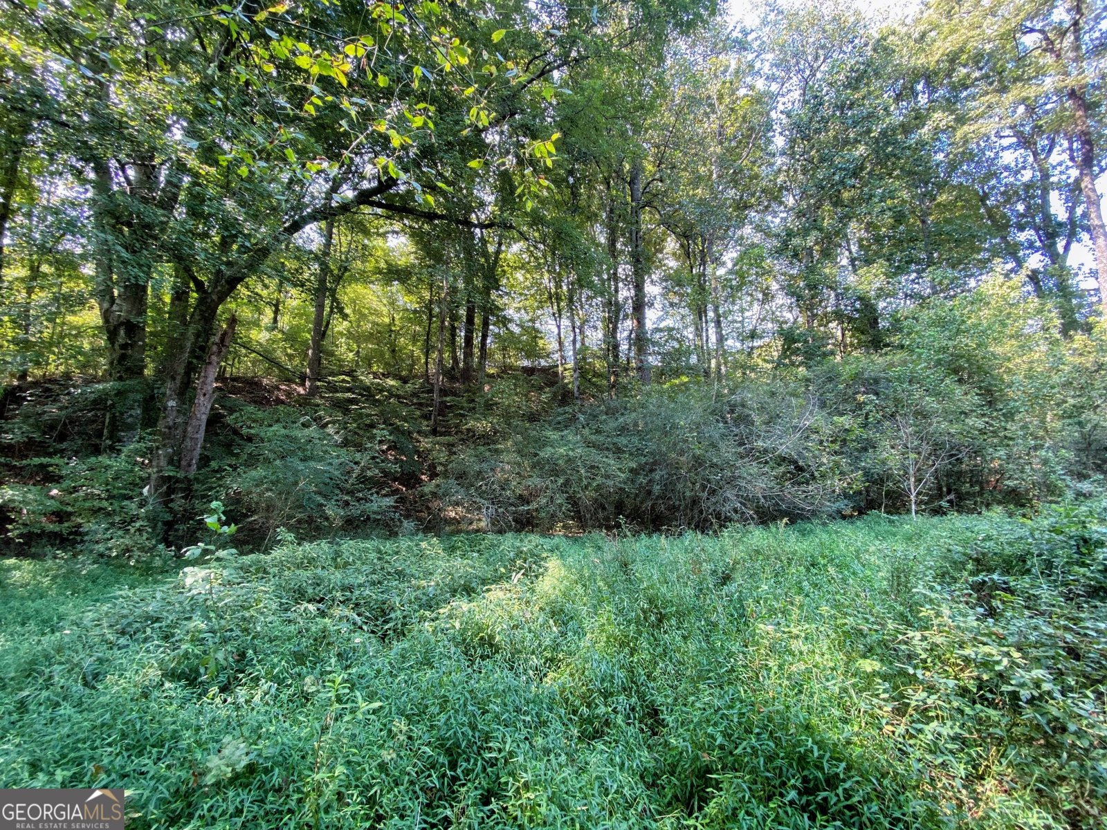 3746 Ledan Road Gainesville - 7