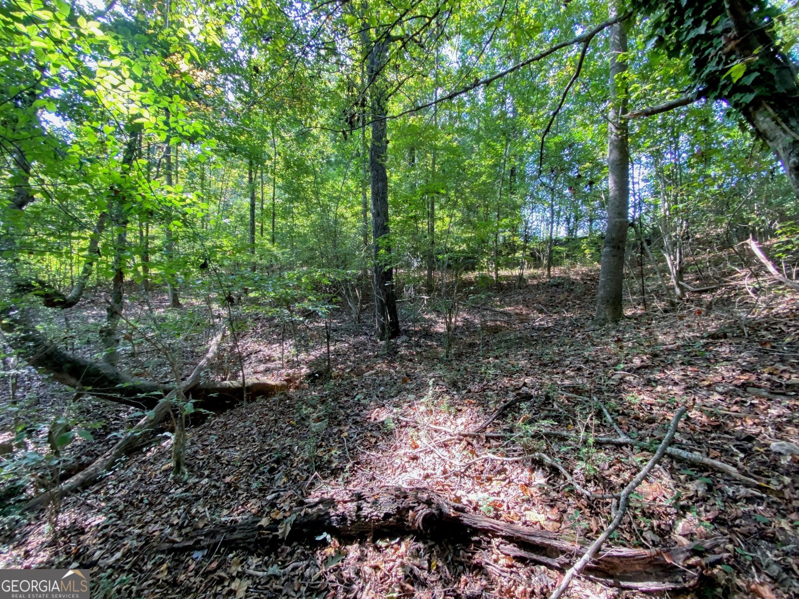 3746 Ledan Road Gainesville - 8