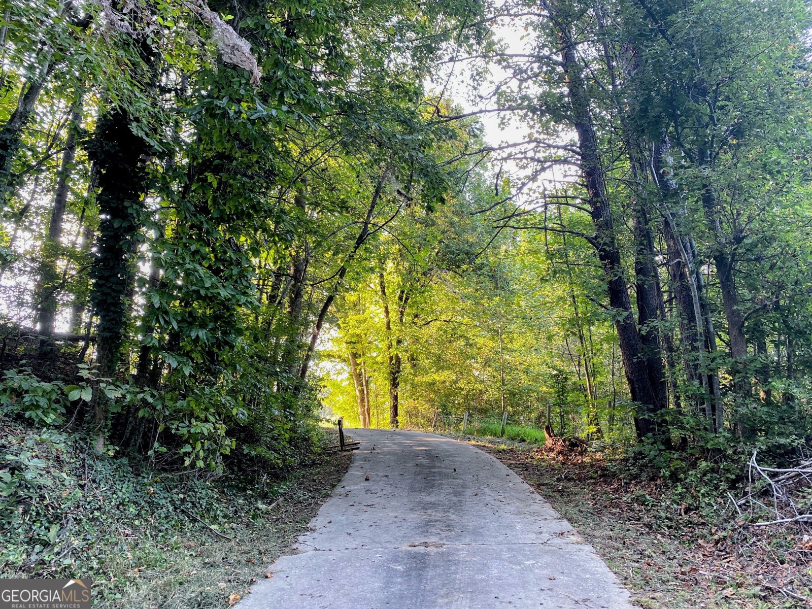 3746 Ledan Road Gainesville - 9