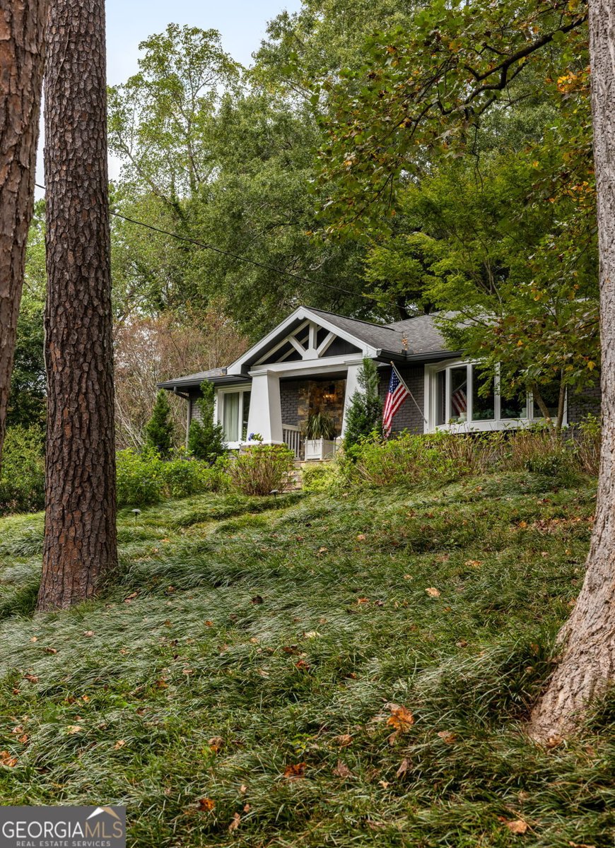 1723 Council Bluff Drive Atlanta - 67