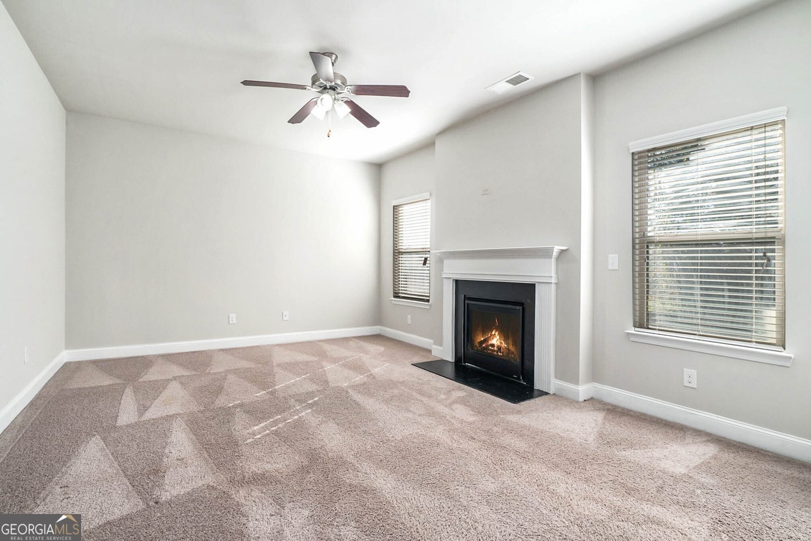 3891 Village Crossing Lane Ellenwood - 11