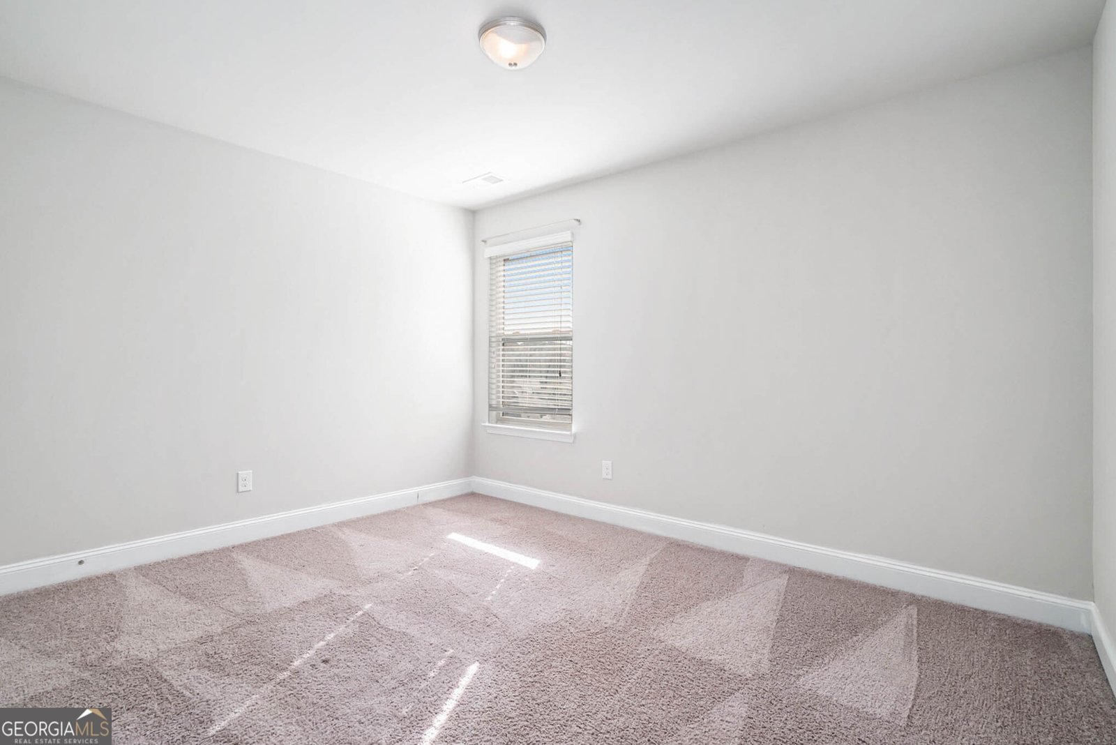 3891 Village Crossing Lane Ellenwood - 23