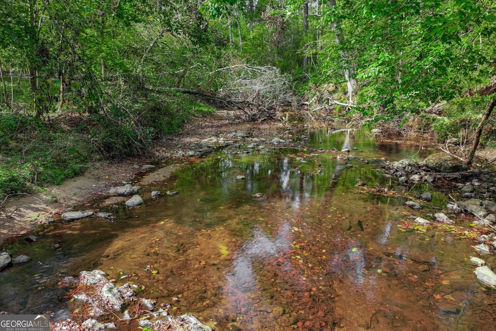 621 Meeting Street Road Edgefield - 2