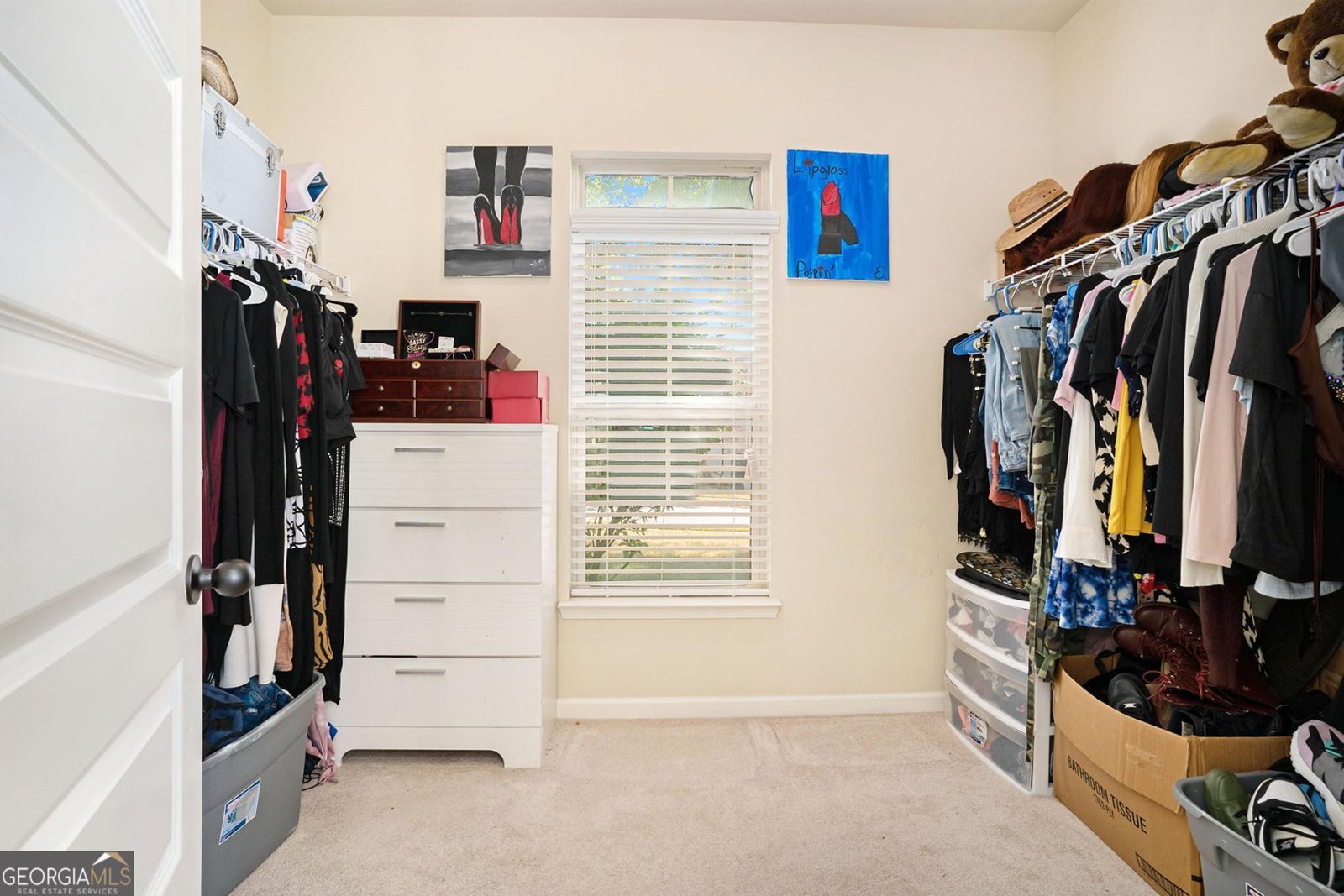 852 Nevis Way Mcdonough - 20