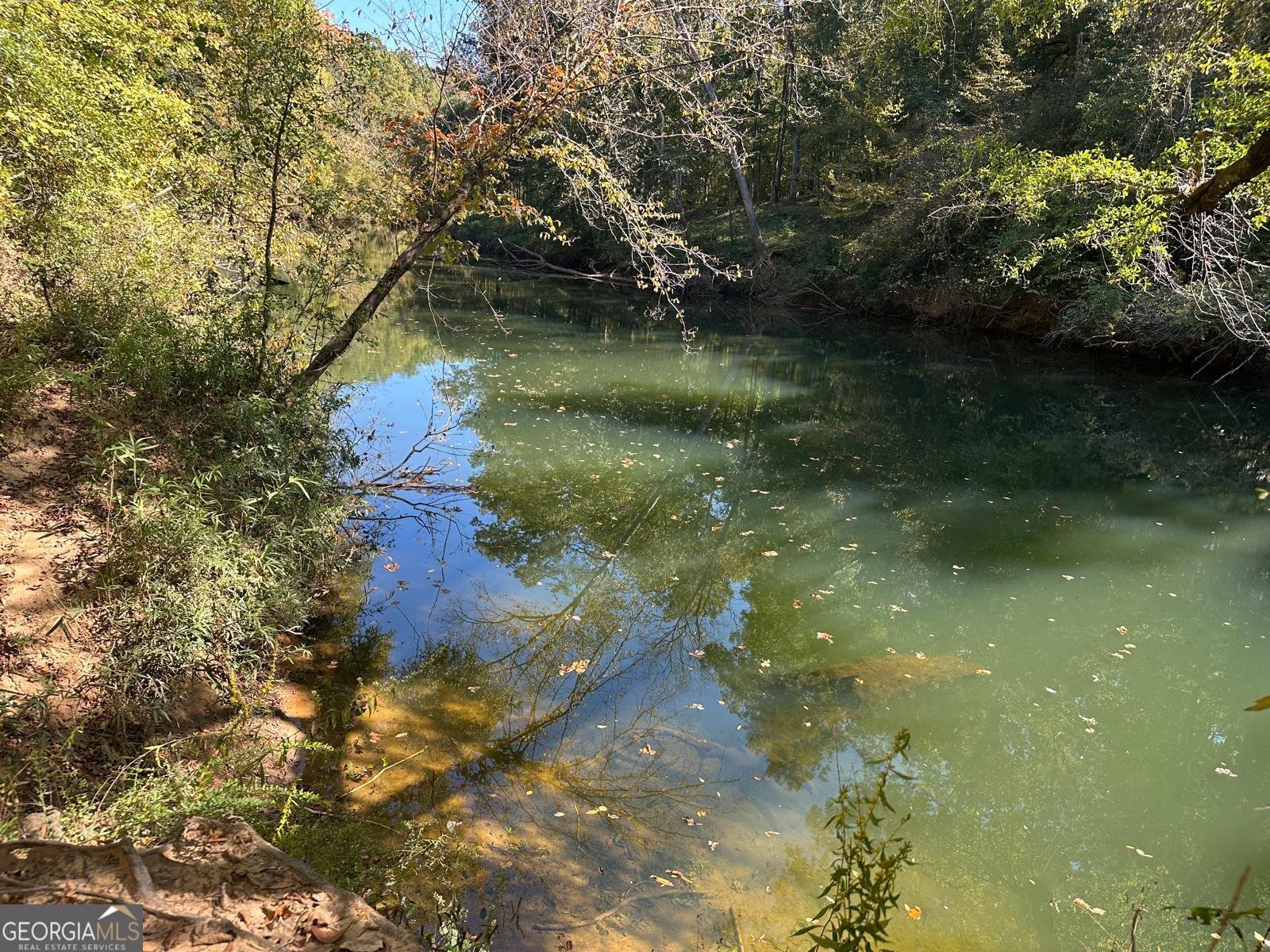 401 Towaliga Trail Forsyth - 2