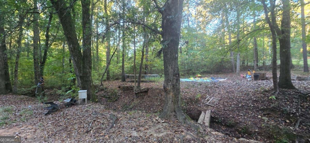 401 Towaliga Trail Forsyth - 21