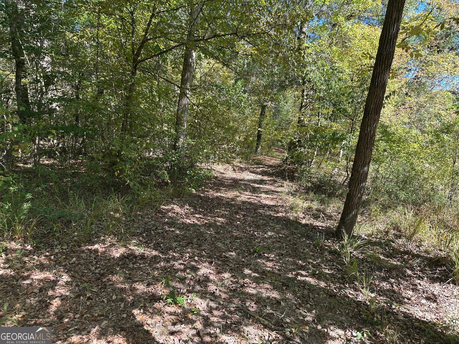 401 Towaliga Trail Forsyth - 25