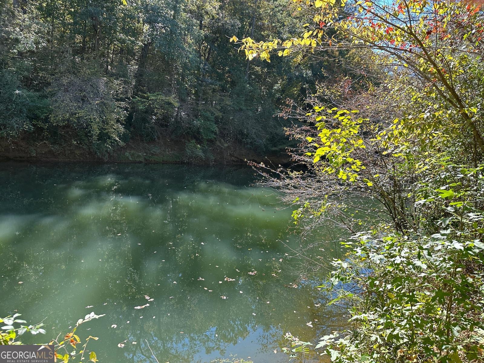 401 Towaliga Trail Forsyth - 28