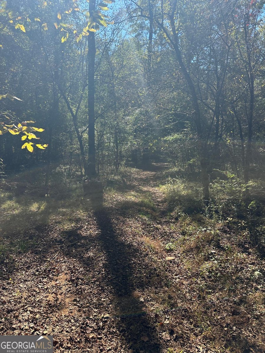 401 Towaliga Trail Forsyth - 29