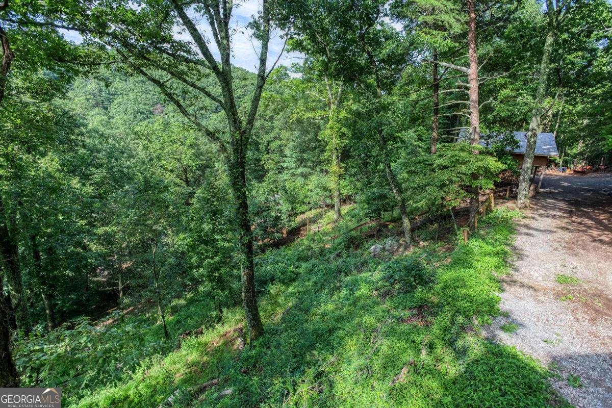 8 Mount Sequoyah Road Jasper - 55