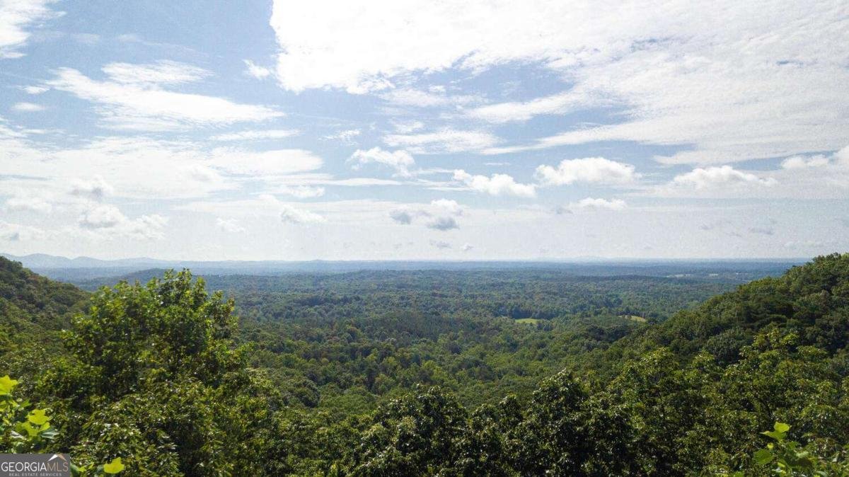 8 Mount Sequoyah Road Jasper - 64