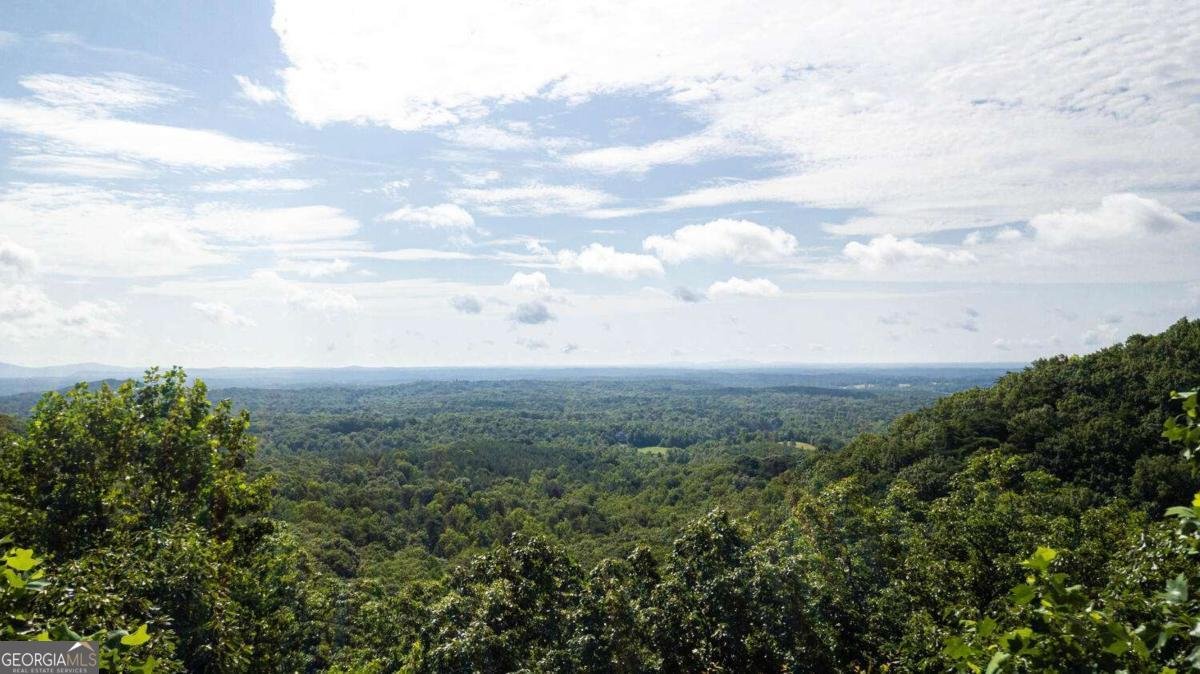 8 Mount Sequoyah Road Jasper - 65