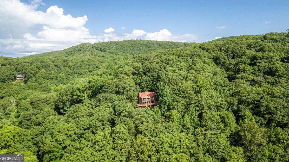 8 Mount Sequoyah Road Jasper - 68