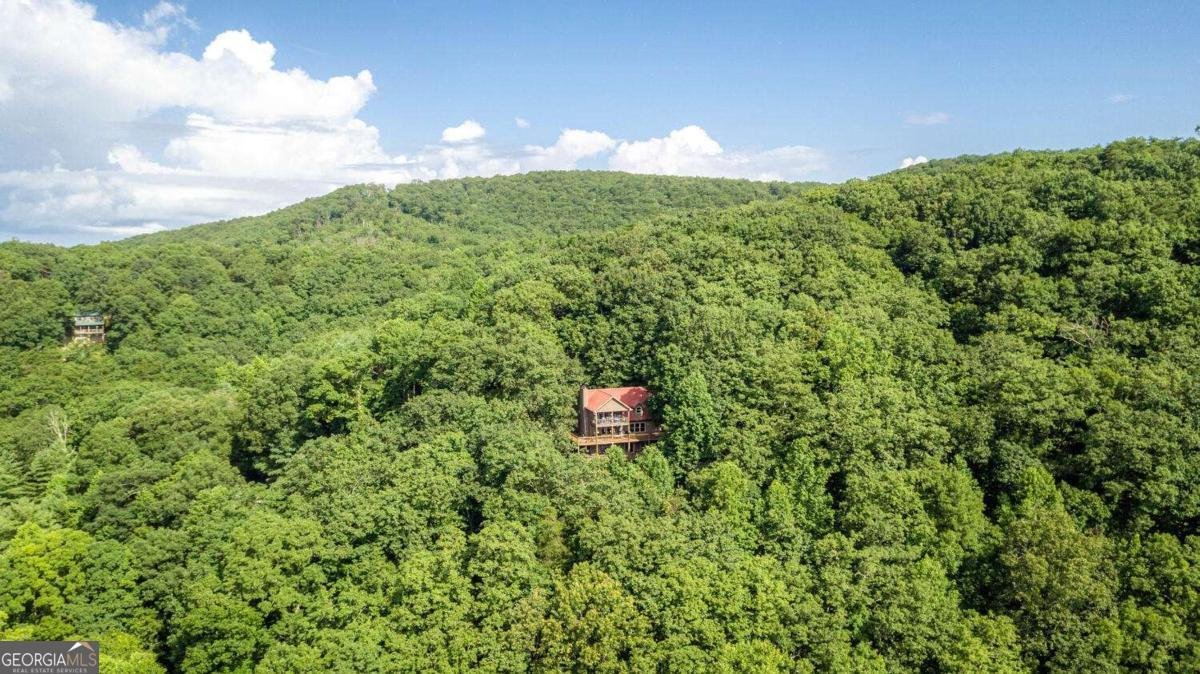 8 Mount Sequoyah Road Jasper - 69